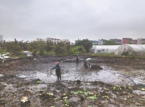 措美河道鱼塘清淤